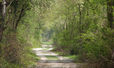 orth_weg2k_quer.jpg